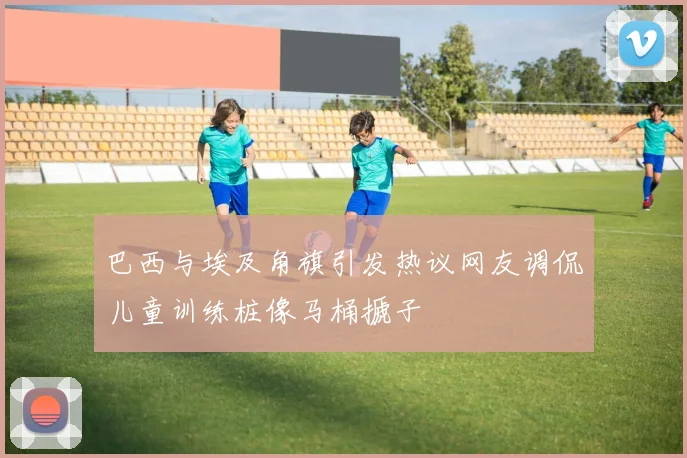 巴西与埃及角旗引发热议网友调侃儿童训练桩像马桶搋子